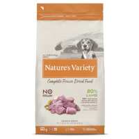 Read Get Set Pet Reviews