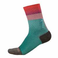 Read VeloVixen Reviews