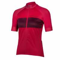Read VeloVixen Reviews
