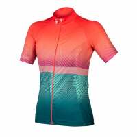 Read VeloVixen Reviews