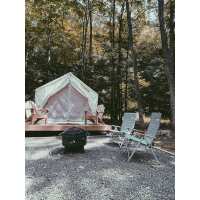 Read Tentrr Reviews