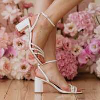 Read Charlotte Mills  Reviews