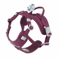 Read Mountain Dog Reviews