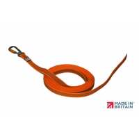 Read Mountain Dog Reviews