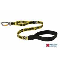 Read Mountain Dog Reviews