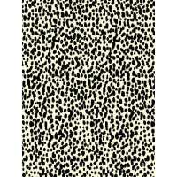 Read The Rugs  Reviews