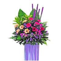 Read XpressFlower Reviews