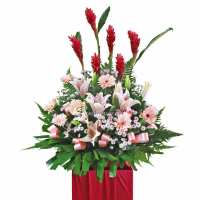 Read XpressFlower Reviews