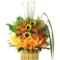 Read XpressFlower Reviews