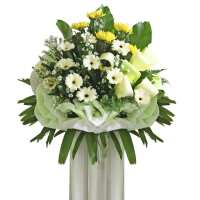 Read XpressFlower Reviews