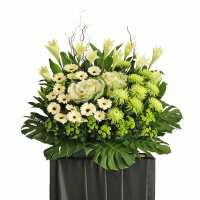 Read XpressFlower Reviews