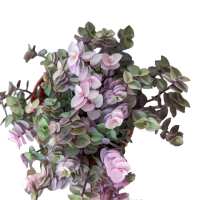 Read Succulents Depot Reviews