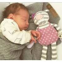 Read snottynoses.com.au Reviews