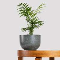 Read The Good Plant Co. Reviews