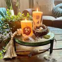 Read Decor Steals Reviews