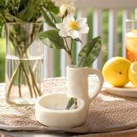 Read Decor Steals Reviews