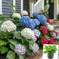 Read Decor Steals Reviews