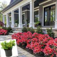 Read Decor Steals Reviews