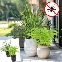 Read Decor Steals Reviews