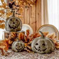 Read Decor Steals Reviews
