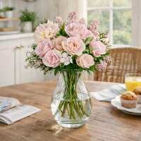 Read Decor Steals Reviews