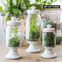 Read Decor Steals Reviews