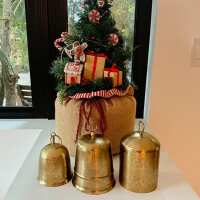 Read Decor Steals Reviews