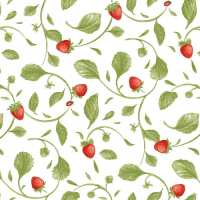 Read Everything Fabric Reviews