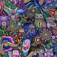 Read Everything Fabric Reviews