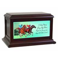Read In The Light Urns Reviews