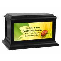 Read In The Light Urns Reviews