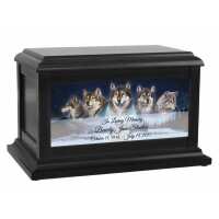 Read In The Light Urns Reviews