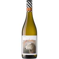 Read Winesale.co.nz Reviews