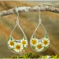 Read Cool Coconut Reviews