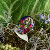 Read Cool Coconut Reviews