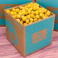 Read Tropical Fruit Box Reviews
