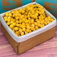 Read Tropical Fruit Box Reviews