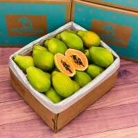 Read Tropical Fruit Box Reviews