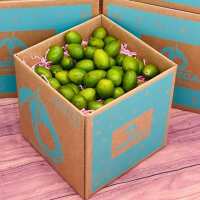 Read Tropical Fruit Box Reviews