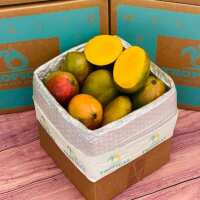 Read Tropical Fruit Box Reviews