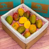 Read Tropical Fruit Box Reviews