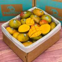 Read Tropical Fruit Box Reviews