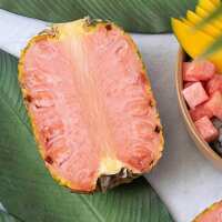 Read Tropical Fruit Box Reviews