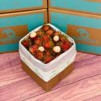 Read Tropical Fruit Box Reviews