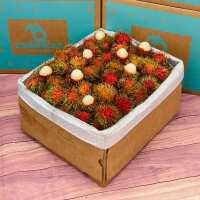 Read Tropical Fruit Box Reviews