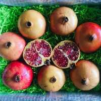 Read Tropical Fruit Box Reviews