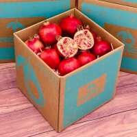 Read Tropical Fruit Box Reviews