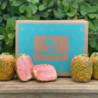 Read Tropical Fruit Box Reviews