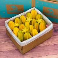 Read Tropical Fruit Box Reviews