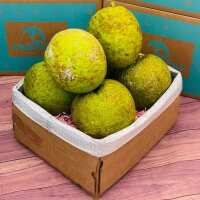 Read Tropical Fruit Box Reviews